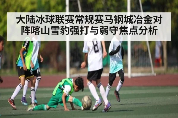 大陆冰球联赛常规赛马钢城冶金对阵喀山雪豹强打与弱守焦点分析